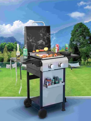 2-Burner Propane Gas BBQ Grill, 24600BTUStainless Steel Barbecue Grill with Wire Enamel Cooking Grids, Foldable Side Table, Hanging Basket, SS Plancha, Suitable for Patio, Camping, Outdoor Cooking