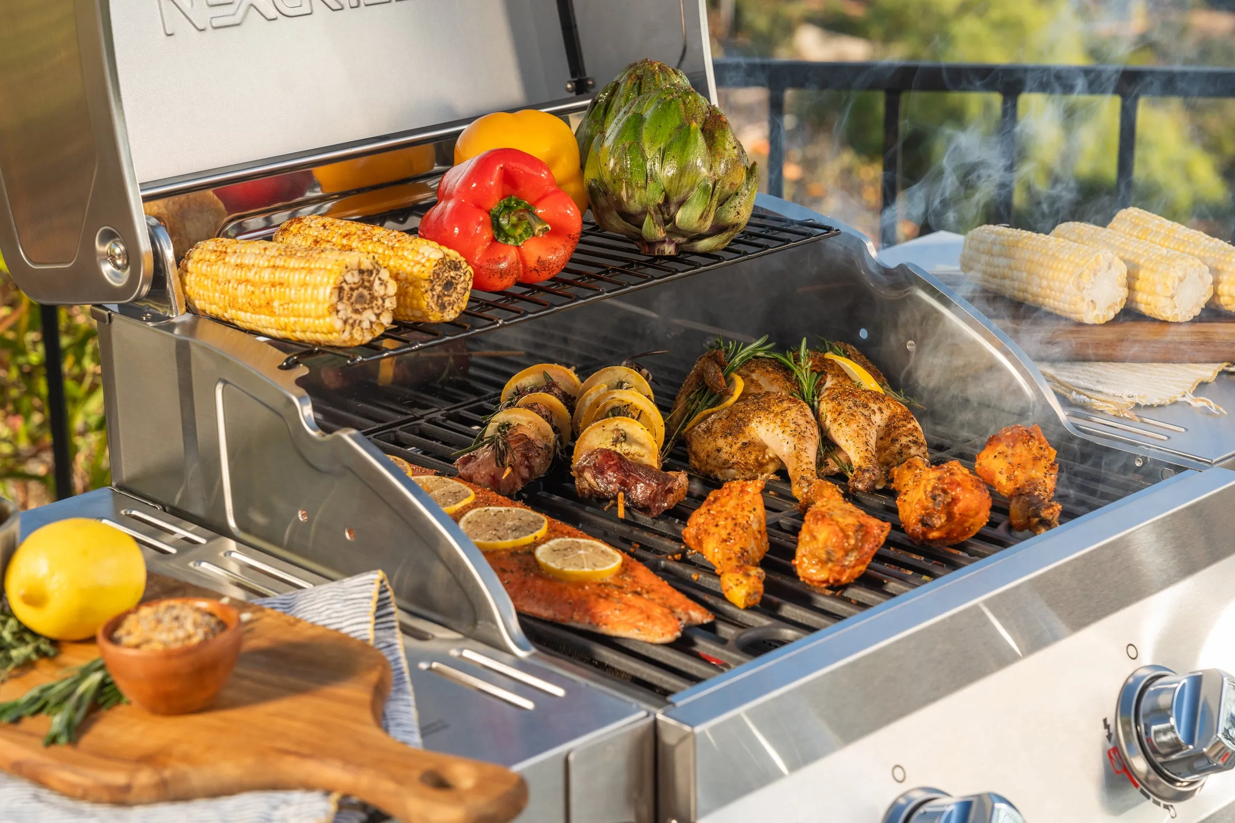 2-Burner Stainless Steel Gas Grill