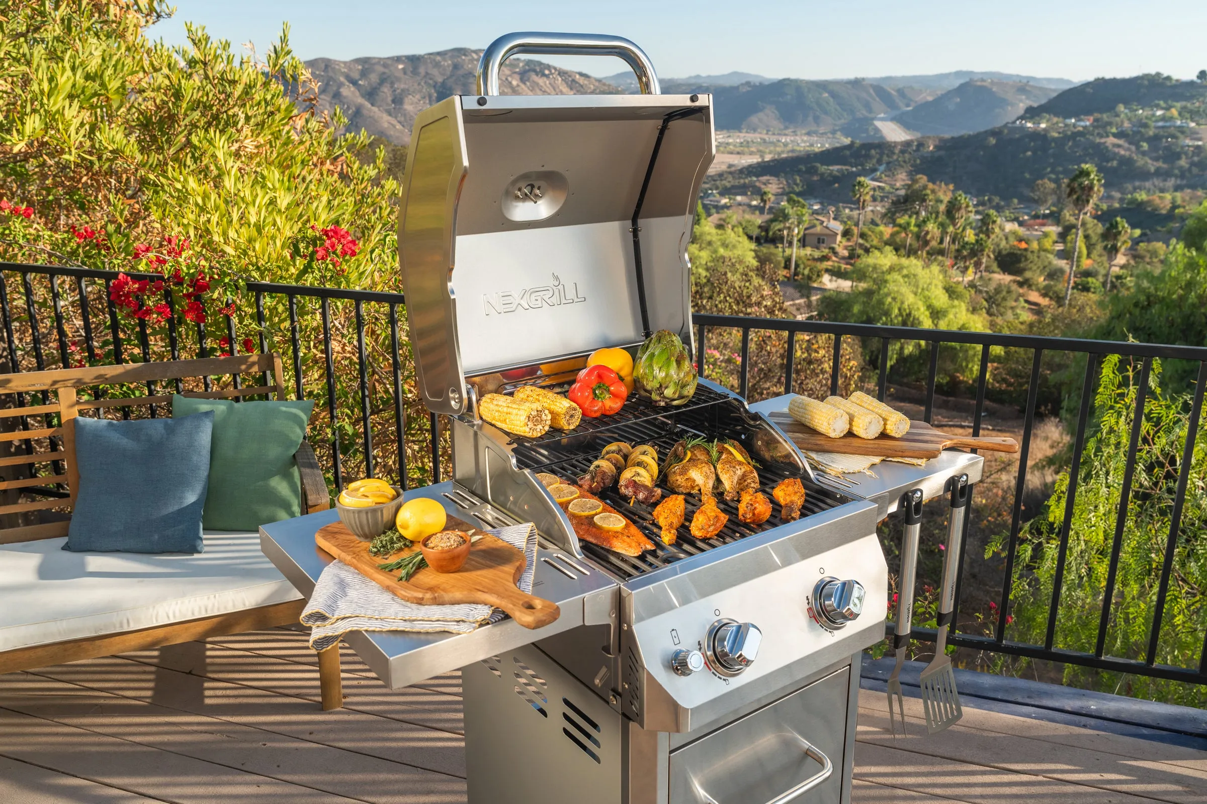 2-Burner Stainless Steel Gas Grill