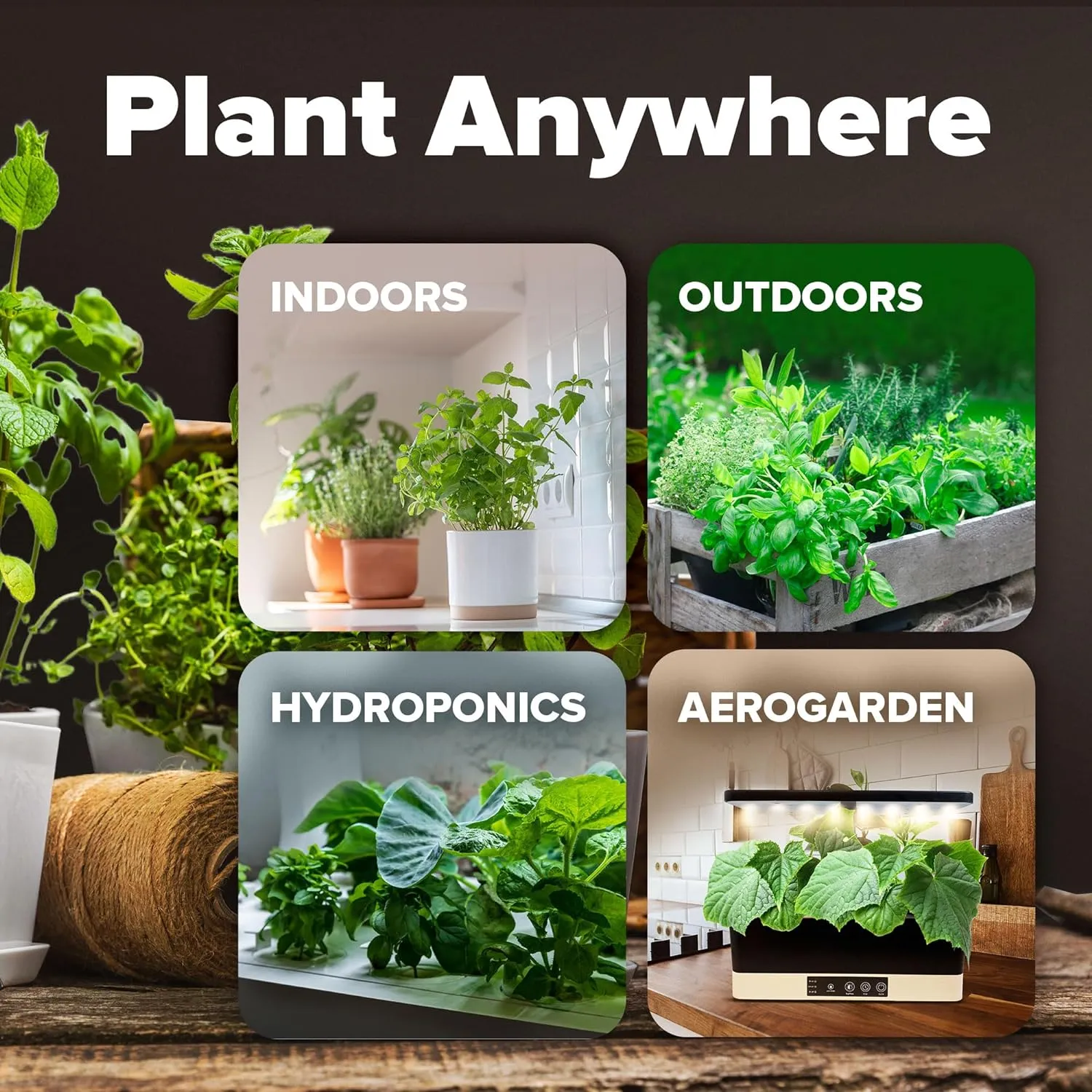 20 Heirloom Vegetable Seeds - 10,000  Survival Seeds and Emergency Prepper Gear - Non GMO Vegetable Seeds for Planting Home Garden Variety Pack