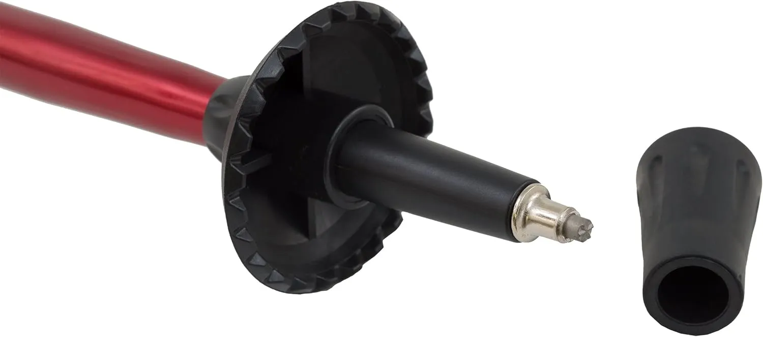 ALPS Mountaineering Trekking Pole