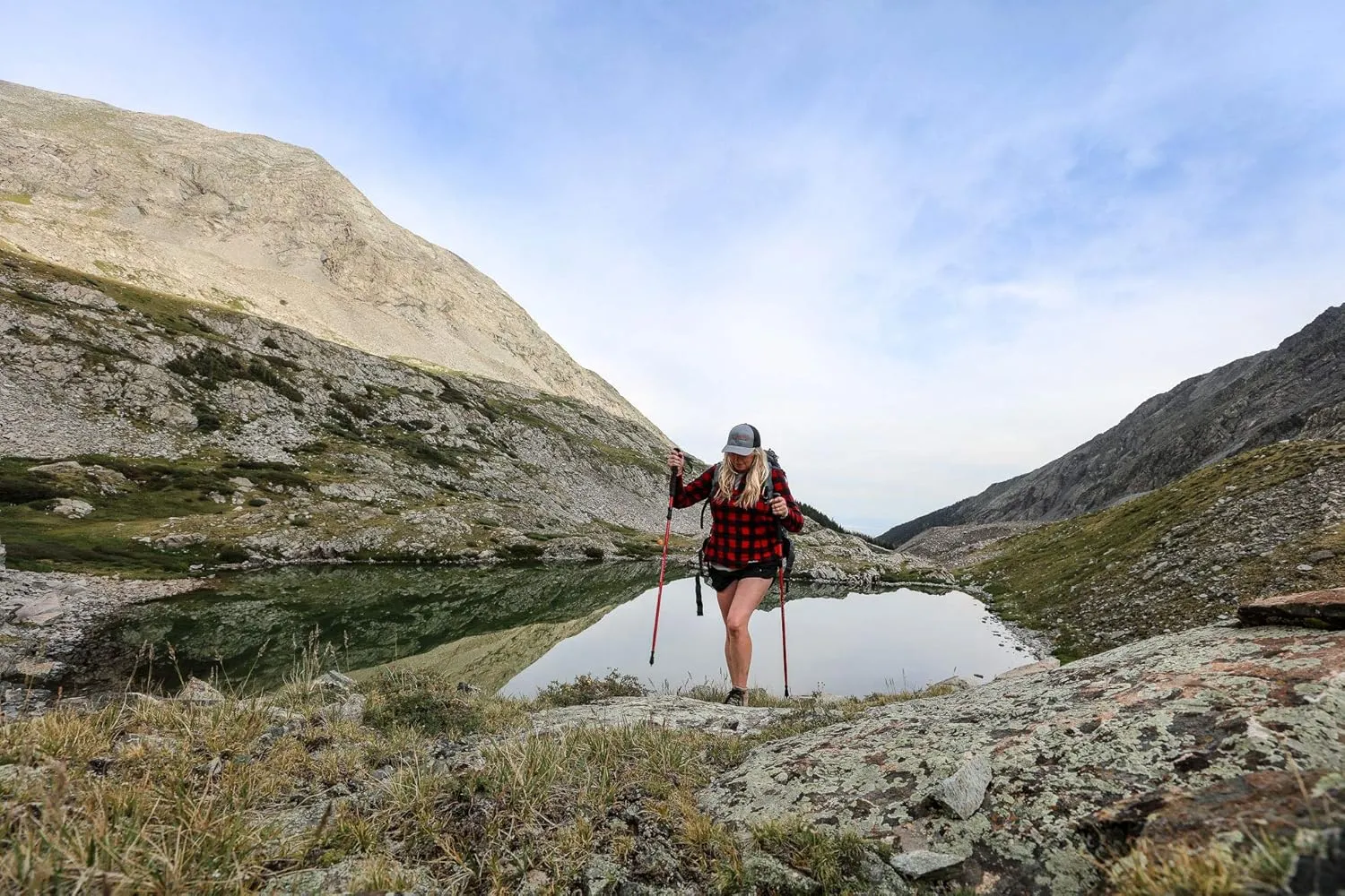 ALPS Mountaineering Trekking Pole