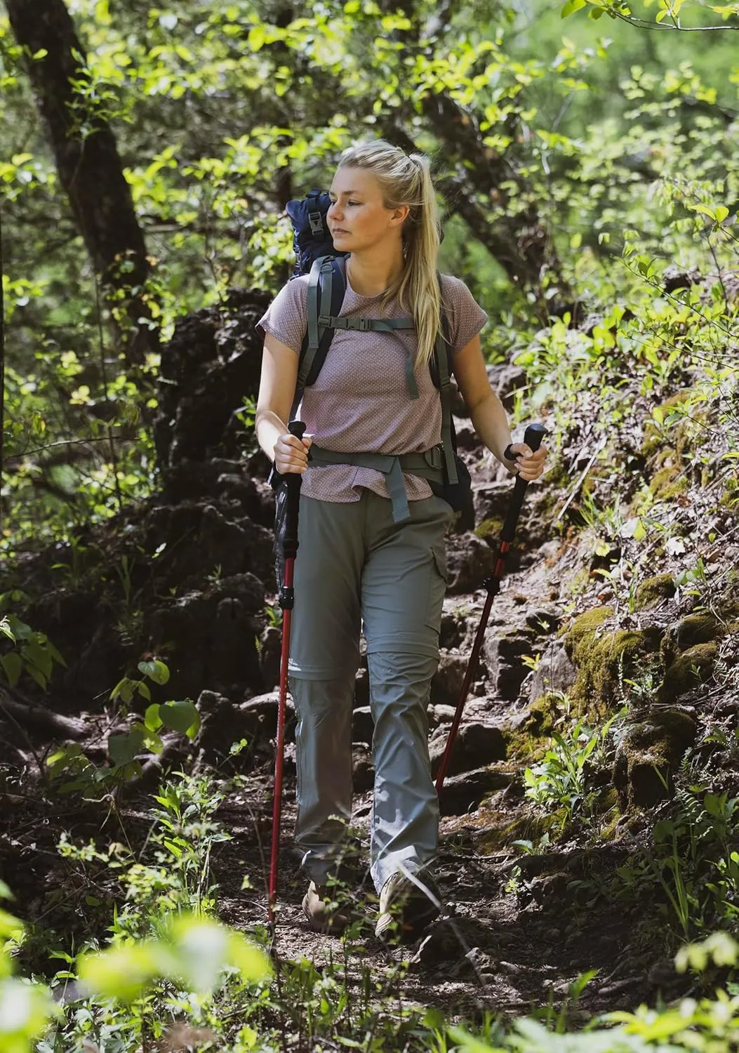 ALPS Mountaineering Trekking Pole