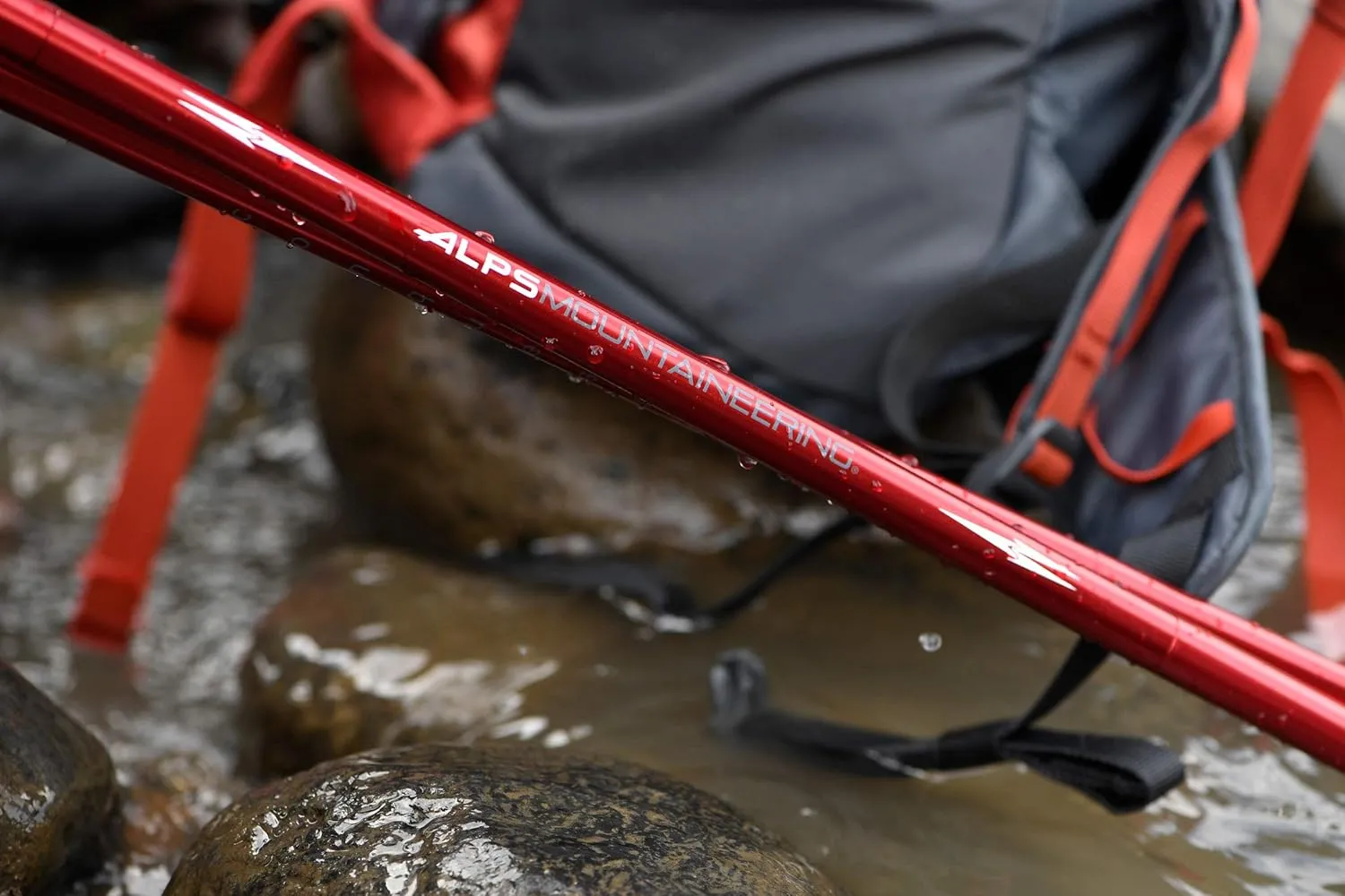 ALPS Mountaineering Trekking Pole