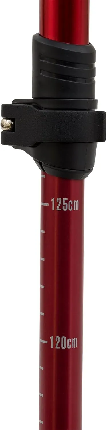 ALPS Mountaineering Trekking Pole