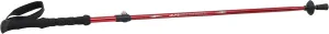 ALPS Mountaineering Trekking Pole