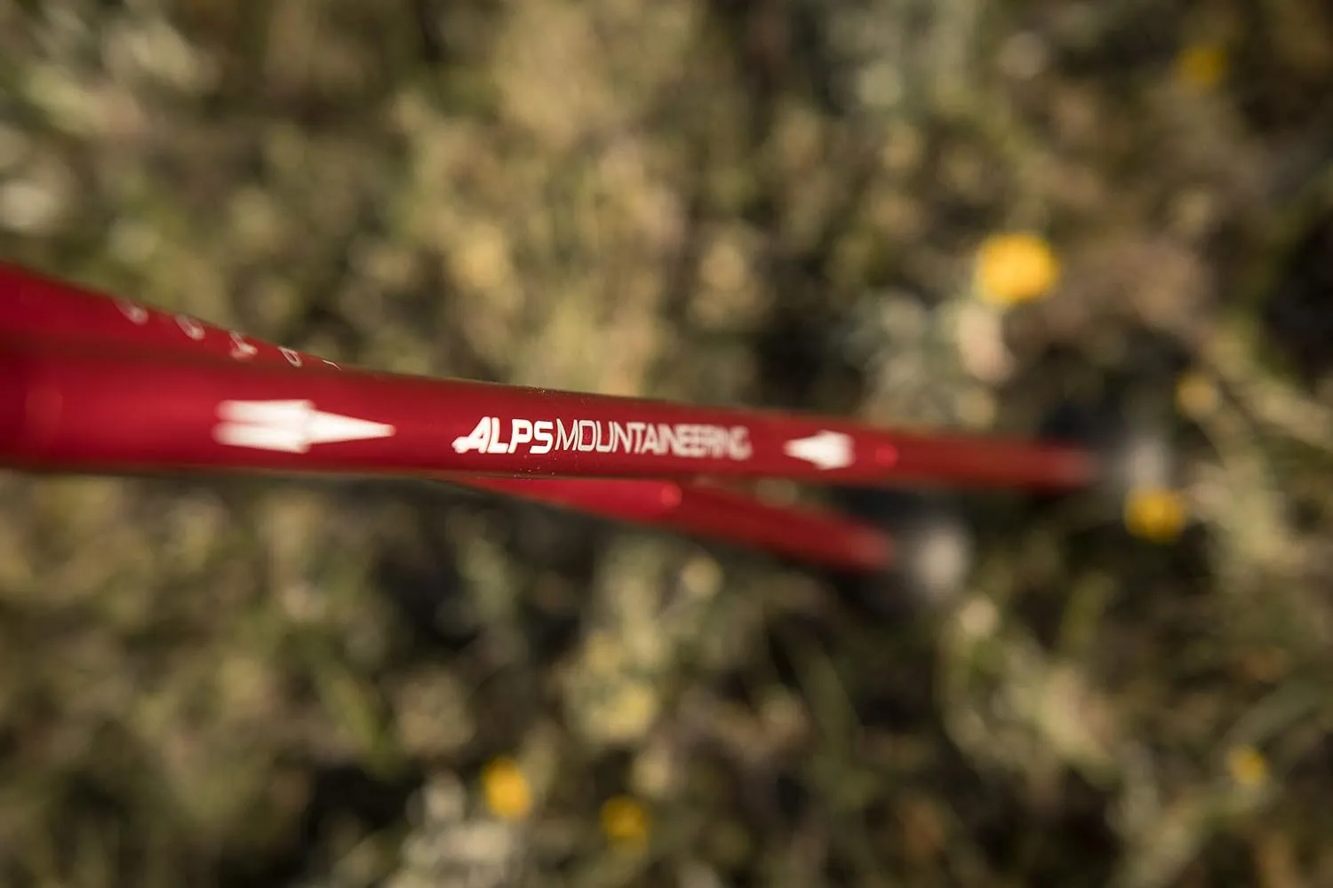 ALPS Mountaineering Trekking Pole