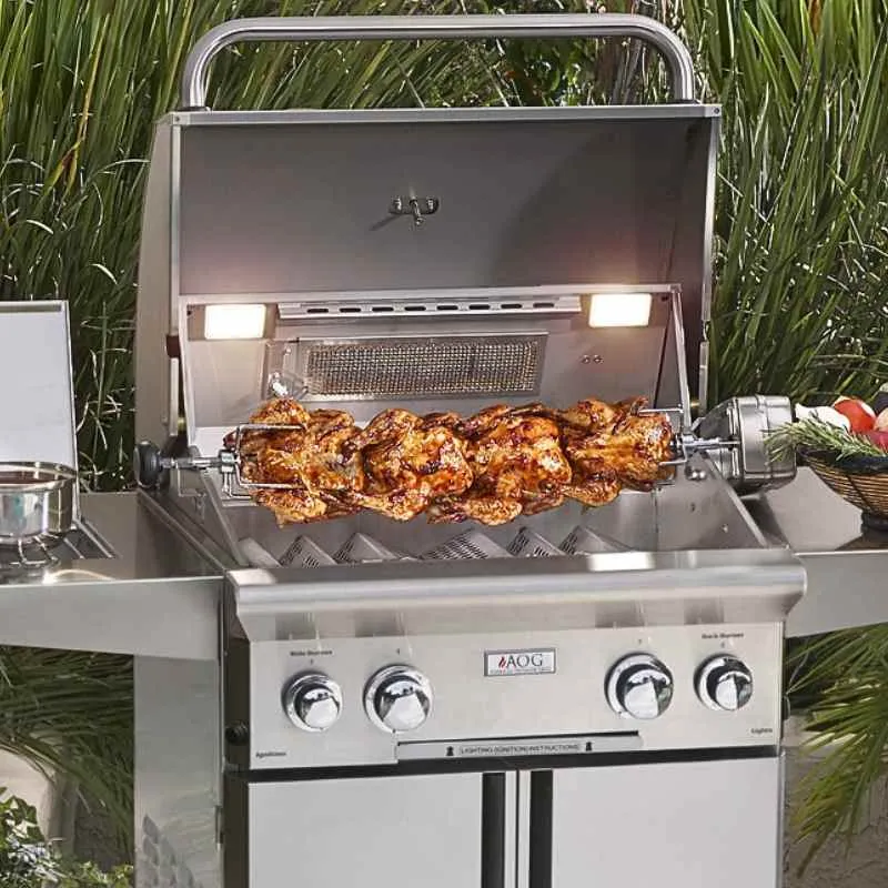 American Outdoor Grill 36" T Series Portable Gas Grill