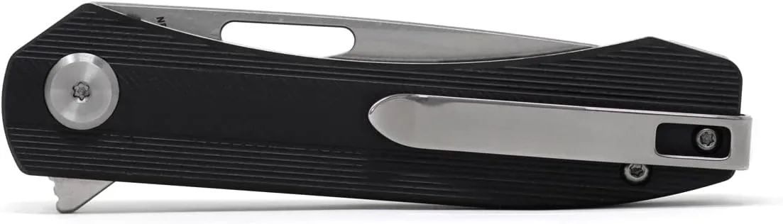 BESTECH KNIVES BANDIT - EDC Folding Pocket Knife - Linerlock, G10 or Micarta Scales, N690 Steel Blade, Kaviso Exclusive (Black G10)
