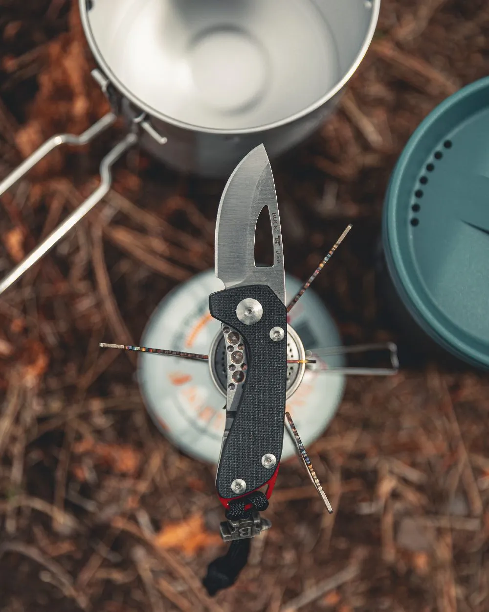 Buck Budgie Knife
