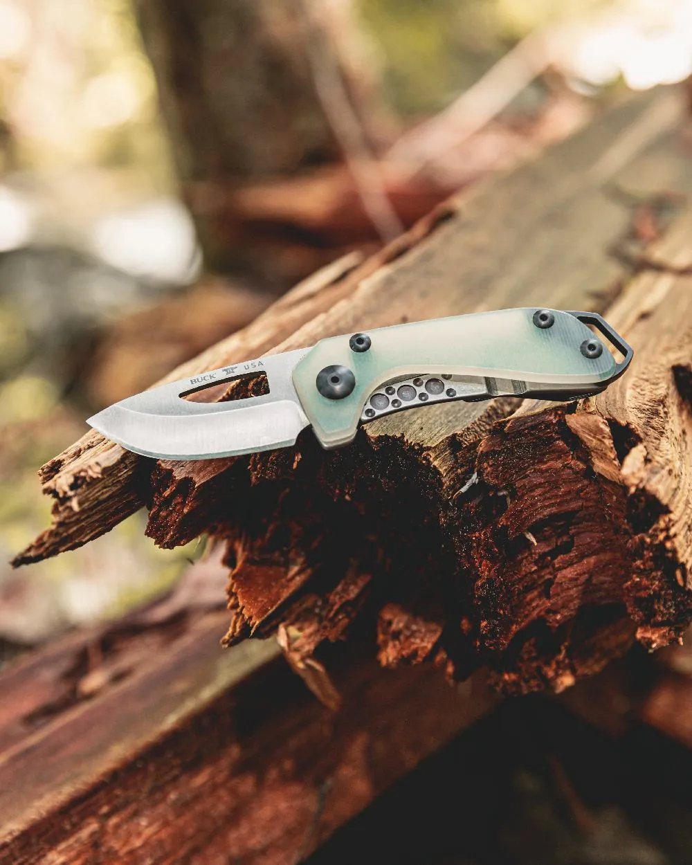 Buck Budgie Knife