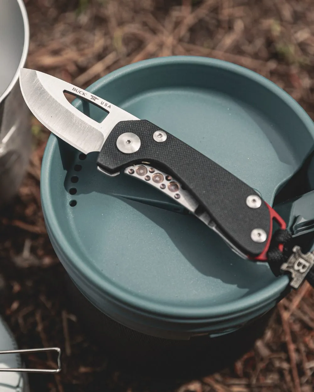 Buck Budgie Knife