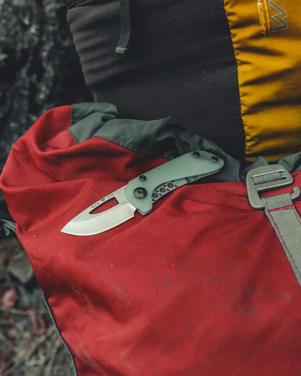 Buck Budgie Knife