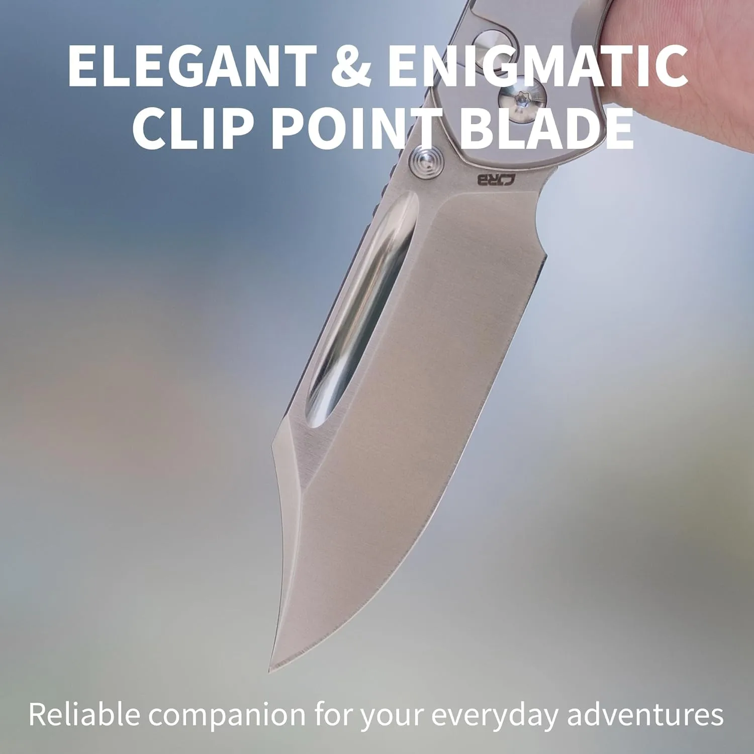 CJRB Bowie Pyrite Pocket Knife, EDC Knife, Folding Knife with 3.15'' AR-RPM9 Steel Blade, Hunting Knife with Wood Handle for Camping, Survival - Suitable for Men & Women - J1942 Ebony, J1942-EBN