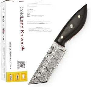 ColdLand Tanto Knife - 8 Inch Full Tang Damascus Knife with Buffalo Horn Handle – Ideal for Hunting, Skinning, EDC, Camping, Hiking & Outdoor Use - Fixed Blade Hunting Knives - NAK25