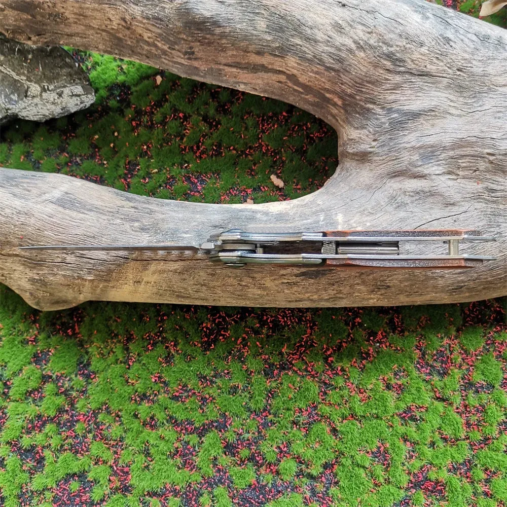 Folding LED Pocket Knife for Hunting and Survival