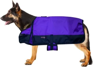 HILASON 200 GSM 600D Winter Dog Blanket - Waterproof, Warm, Purple & Black