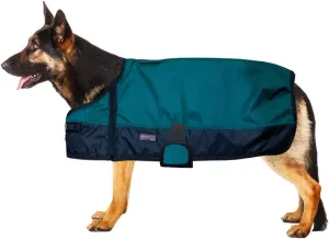 HILASON 200 GSM 600D Winter Dog Coat and Blanket - Waterproof, Warm, Black Hunter Green for Cold Weather