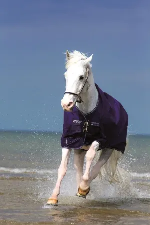 Horseware Amigo Hero 6 Pony Lite Sheet 57 Berry