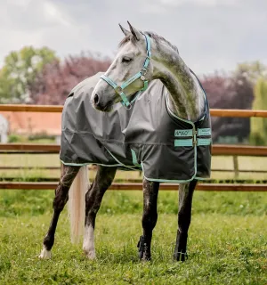 Horseware® Amigo® Hero Ripstop Turnout Horse Blanket (50g Light)