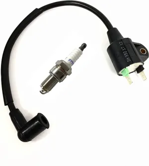 Ignition Coil Spark Plug for Harbor Freight Storm Cat 60338 69381 For Tail Gator 63CC 800 900W 63025 63024 For Pulsar PG1202S For ETQ950 For PowerPro 1000 Watts 2HP 2-Cycle 63cc 64cc Gas Generator