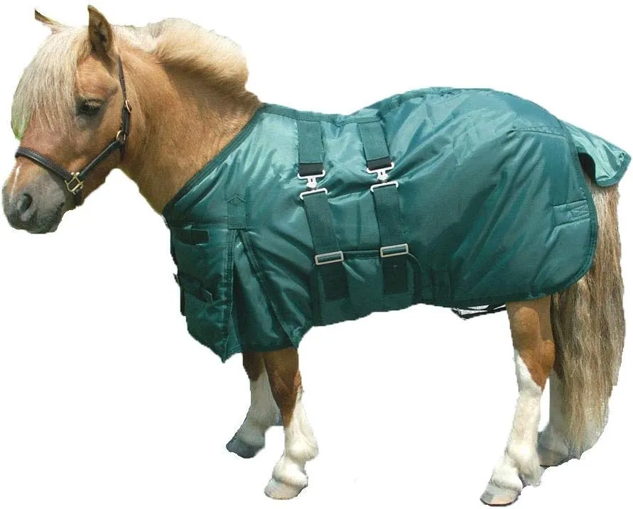 Intrepid International Miniature Horse Turnout Blanket, Waterproof Mini Horse Blanket w/Belly Band & Two Elastic Surcingle, Shoulder Gussets, Tail Guard, 420D 190g Poly Fill