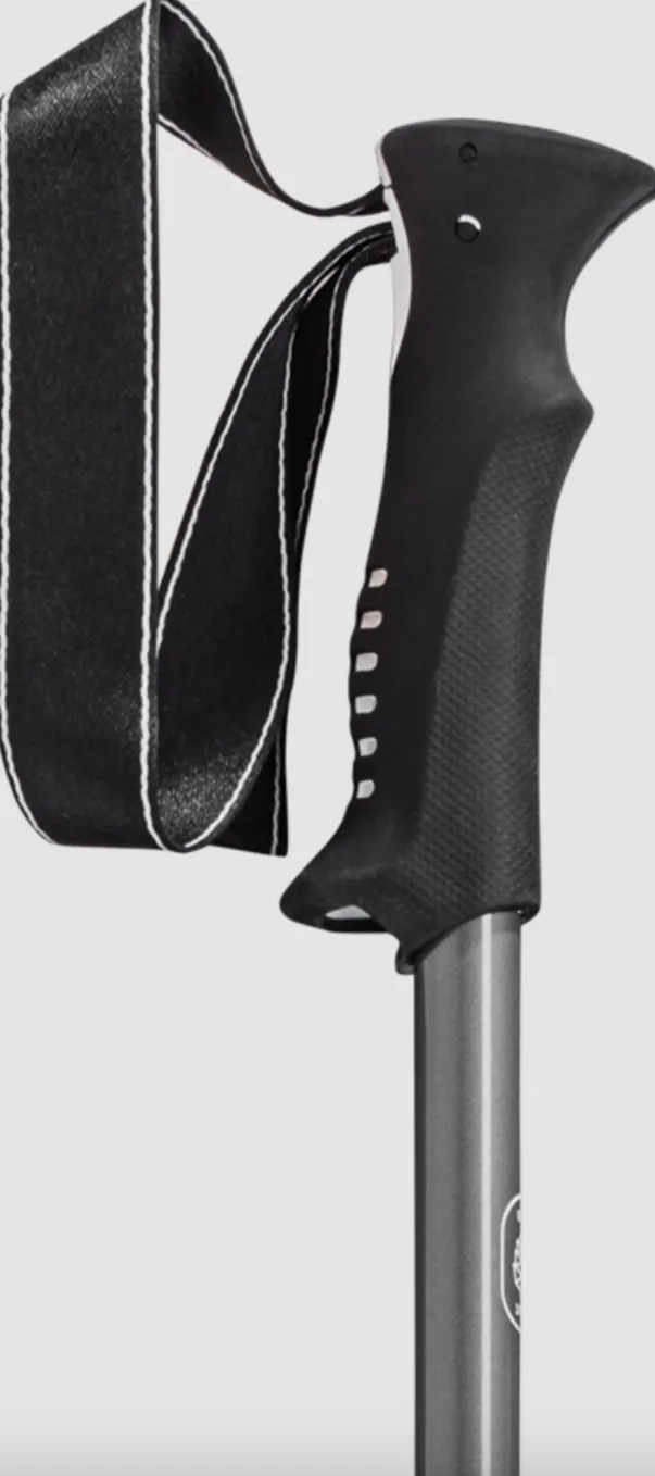 Leki Voyager Trekking Poles (Silver Grey/White)(Pair)