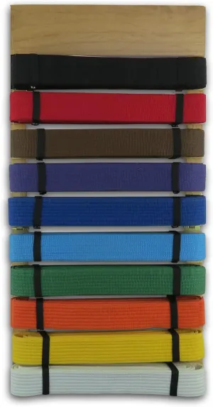 MARTIAL ARTS Foldable Wall Mounted Belt Display - Holds 10 Belts