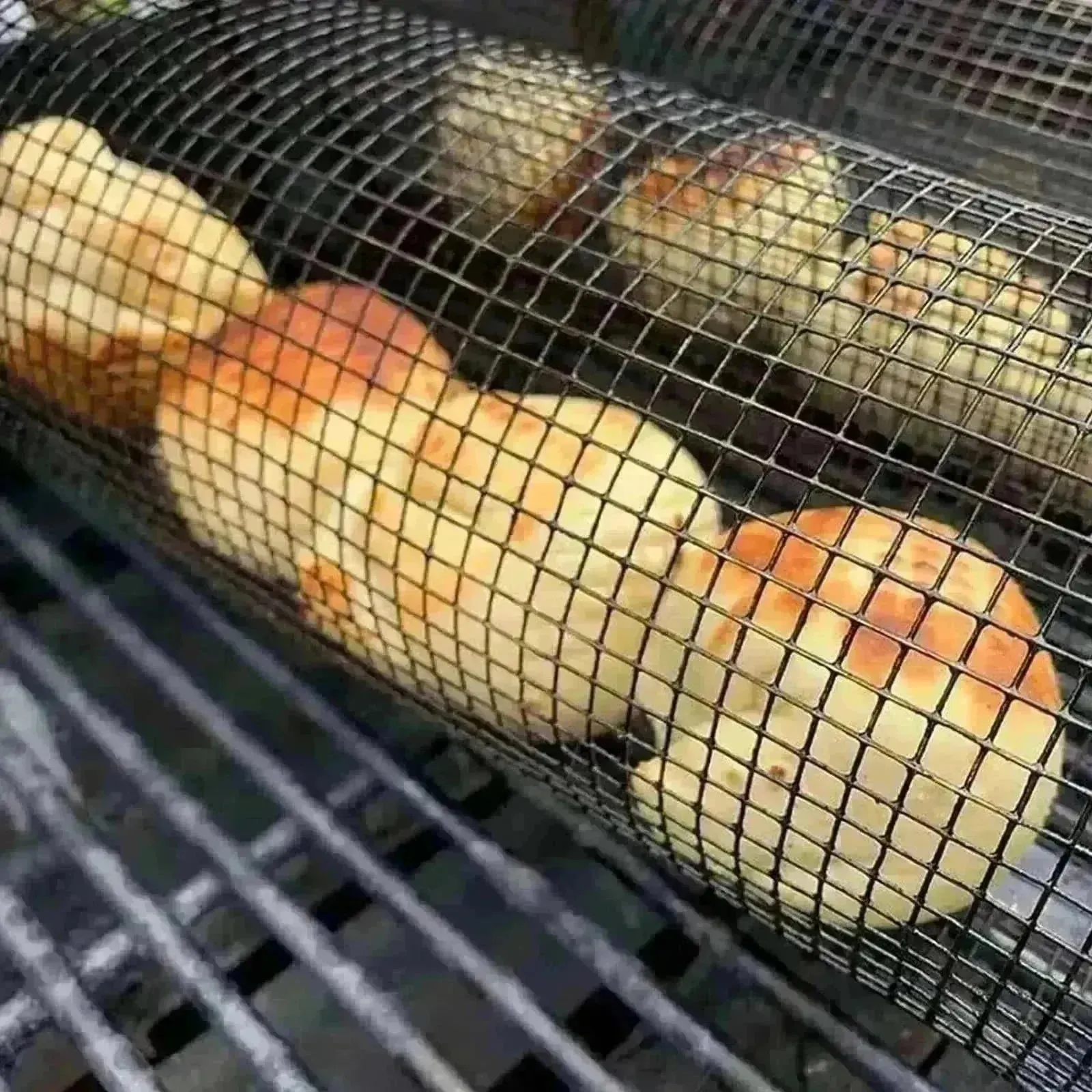 Metal BBQ Grilling Basket Net Portable Outdoor Camping Rack