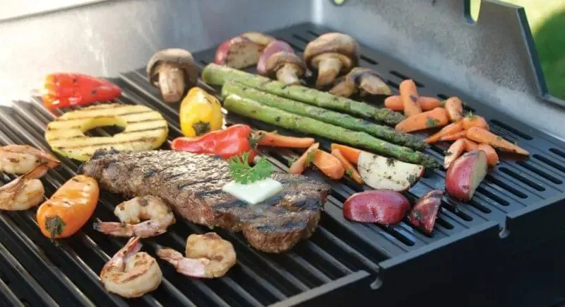 Modern Home Products JNR Liquid Propane Gas Grill Head with SearMagic Cooking Grids - JNR4DD-PS
