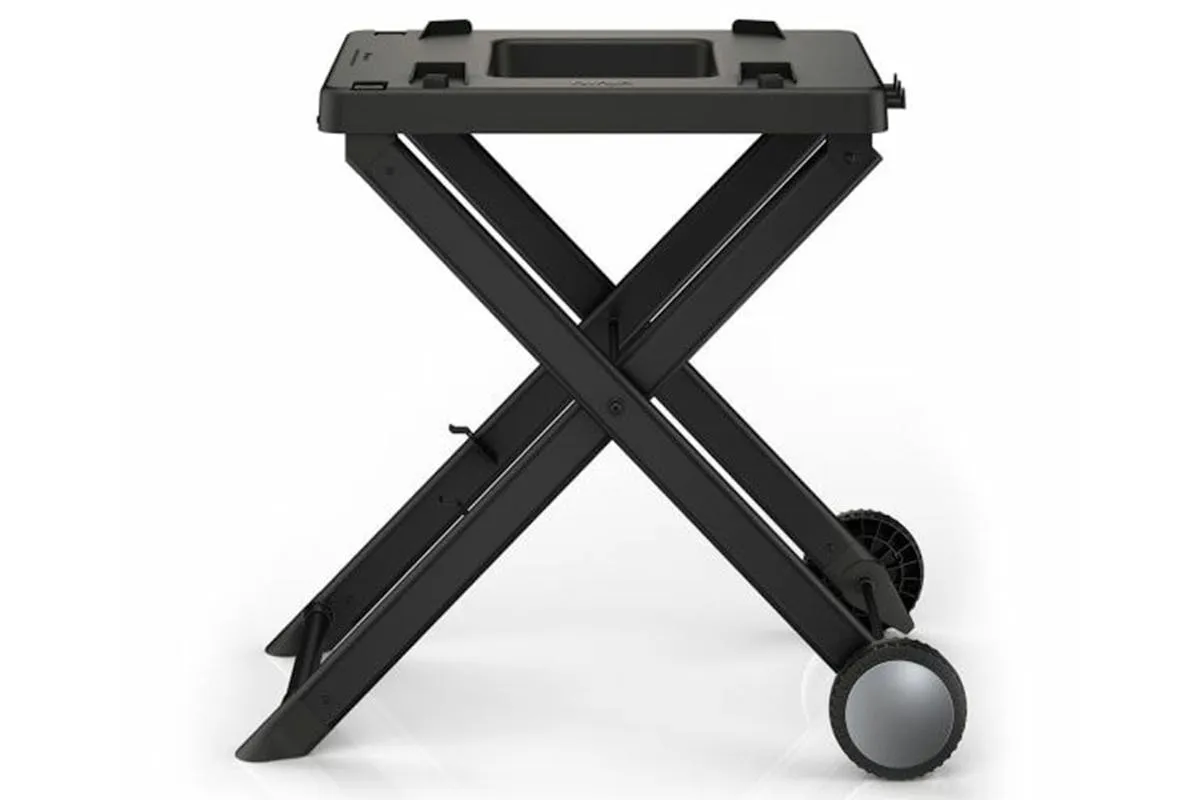 Ninja Woodfire Electric BBQ Grill Stand | XSKGRLLSTDEUK