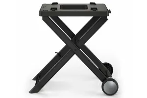 Ninja Woodfire Electric BBQ Grill Stand | XSKGRLLSTDEUK
