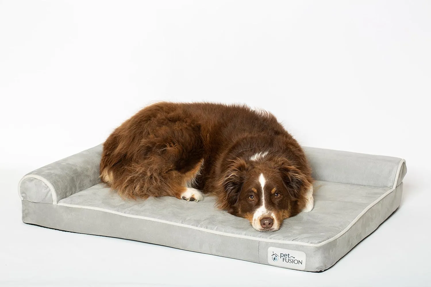 PetFusion BetterLounge Orthopedic Dog Bed | Solid CertiPUR-US Memory Foam, Waterproof liner | Large & XL | Removable Micro-Suede Cover Available Separately, 1 Yr Warranty, Grey