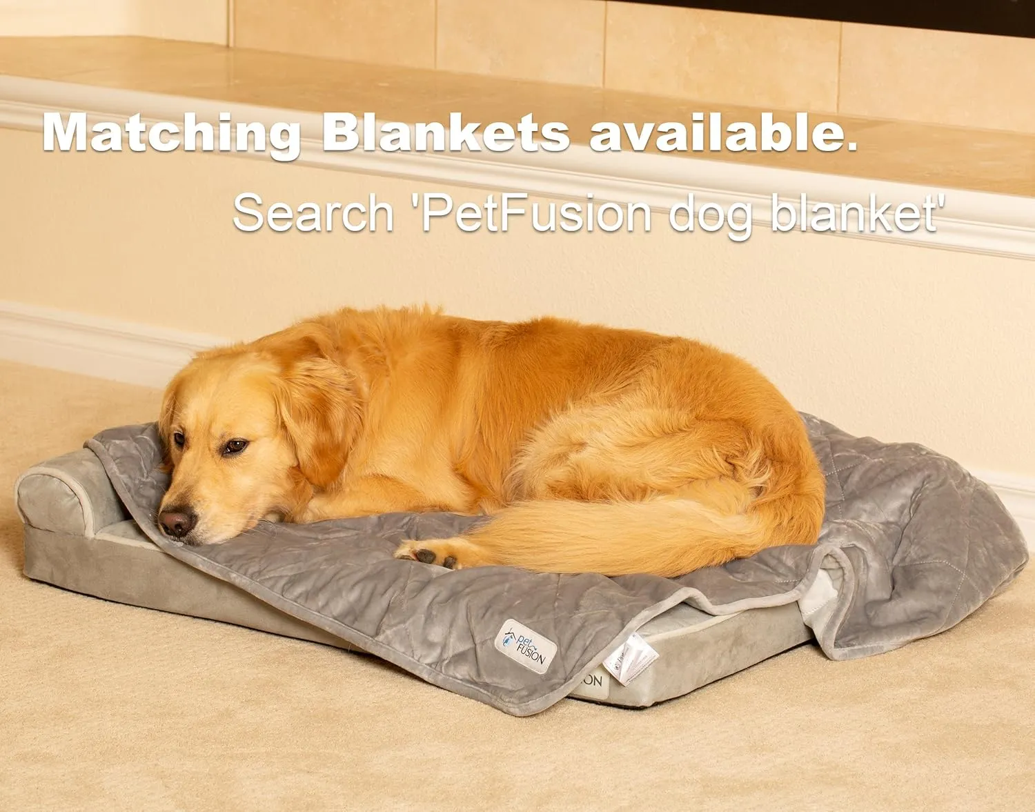 PetFusion BetterLounge Orthopedic Dog Bed | Solid CertiPUR-US Memory Foam, Waterproof liner | Large & XL | Removable Micro-Suede Cover Available Separately, 1 Yr Warranty, Grey