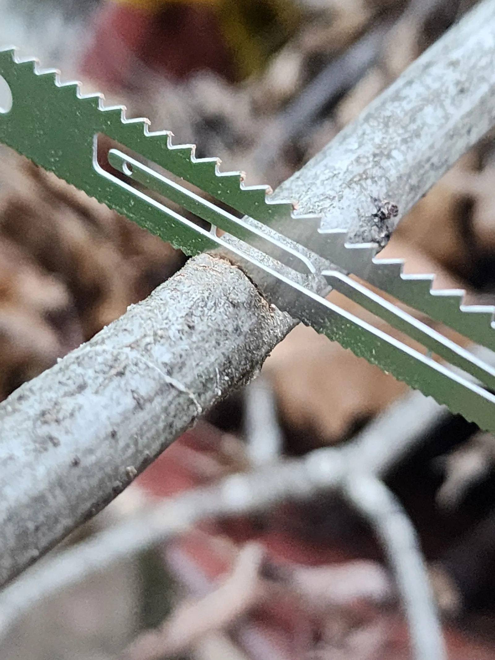 Pocket Multi Tool - Fishing Hooks, Saw, Knife, and more!