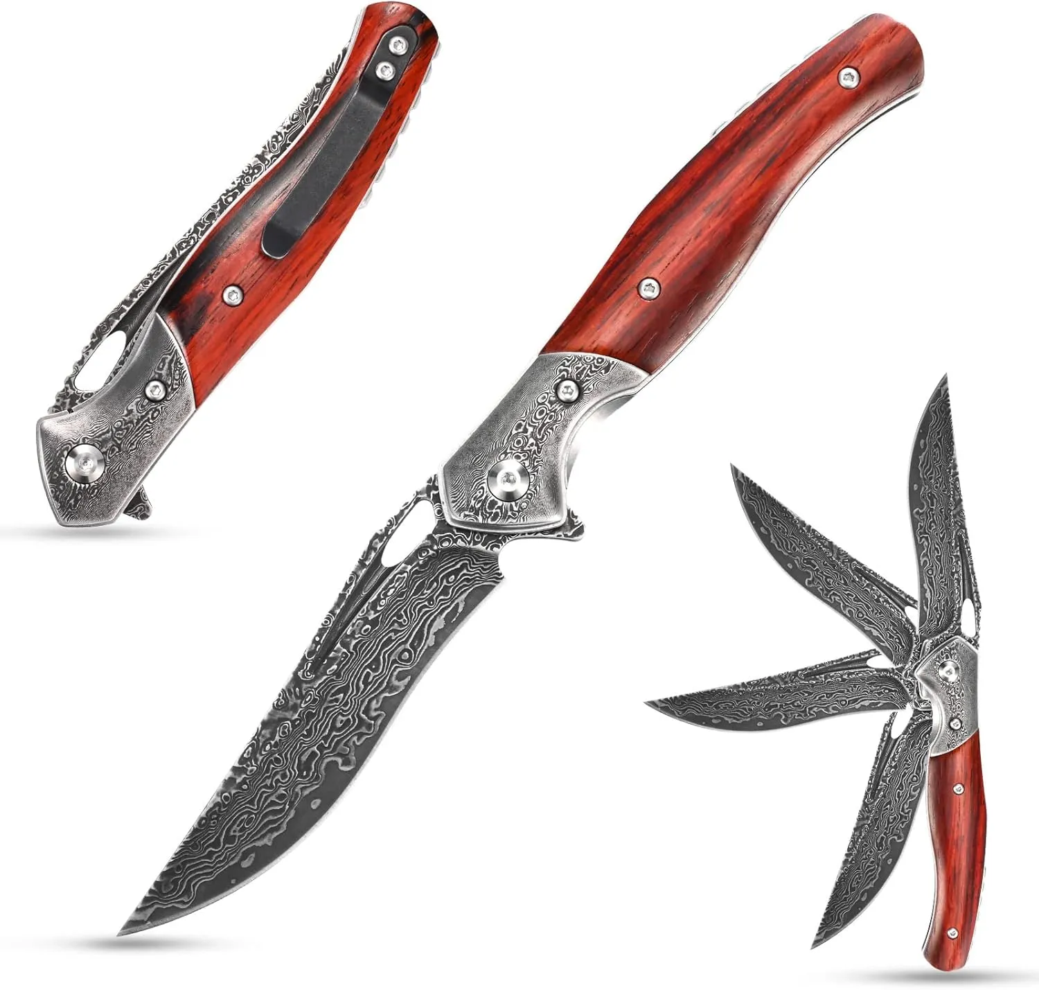 Sitivien ST254 Damascus Steel Folding Knife,VG10 Core Blade,Dalbergia Handle EDC Knives for Outdoor Camping Hiking