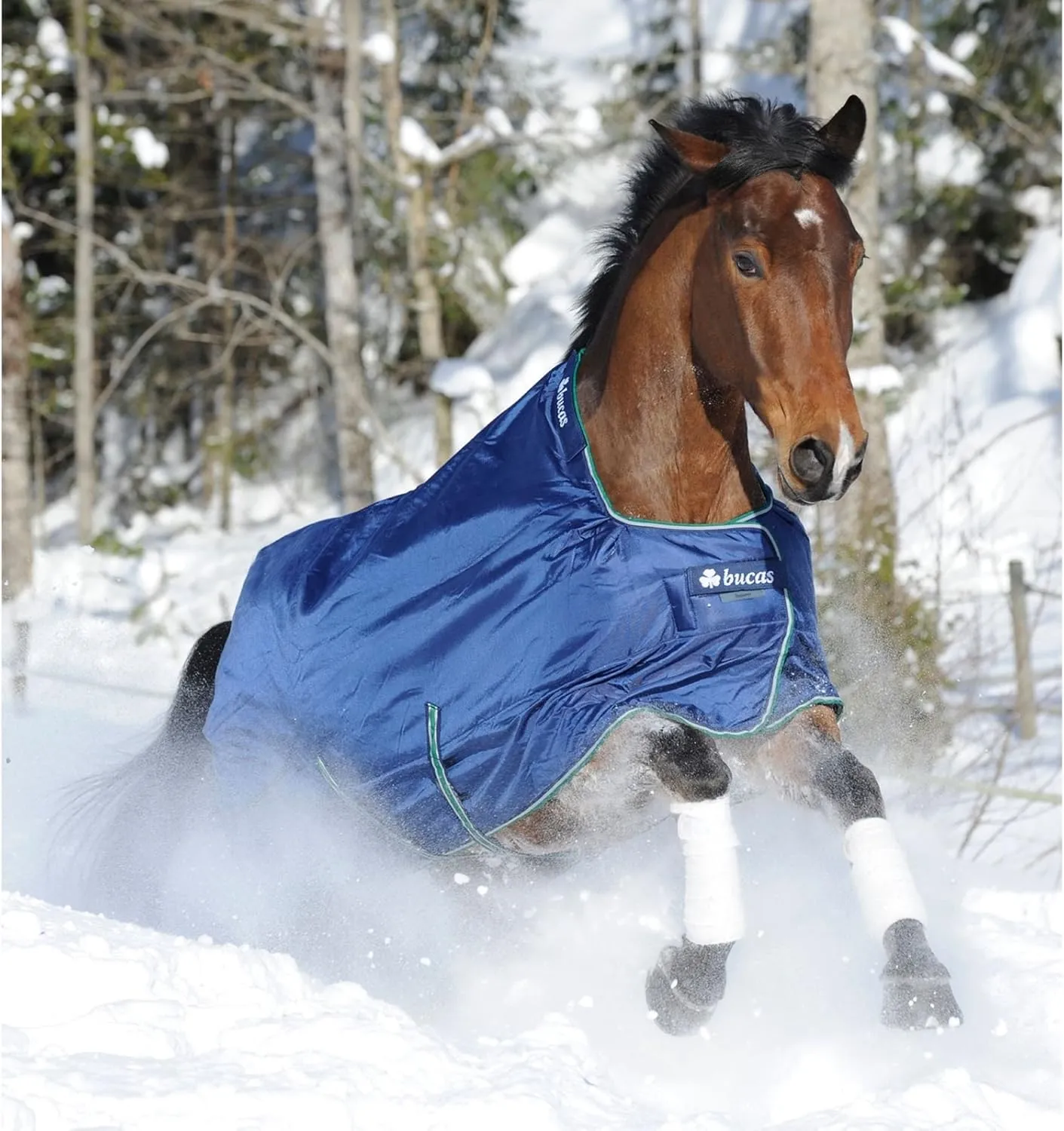 Smartex Extra Turnout Blanket