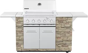 Spire Premium 5 Burner Built In Gas Grill Island Head, Stainless Steel 30 Inch Barbeque Grill with Rear Burner, 63,000 BTUs, 758 SQ In Racks, Propane Grill with Dual Fuel Compatibility – 860-0032